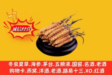 沧县回收虫草多少钱每克